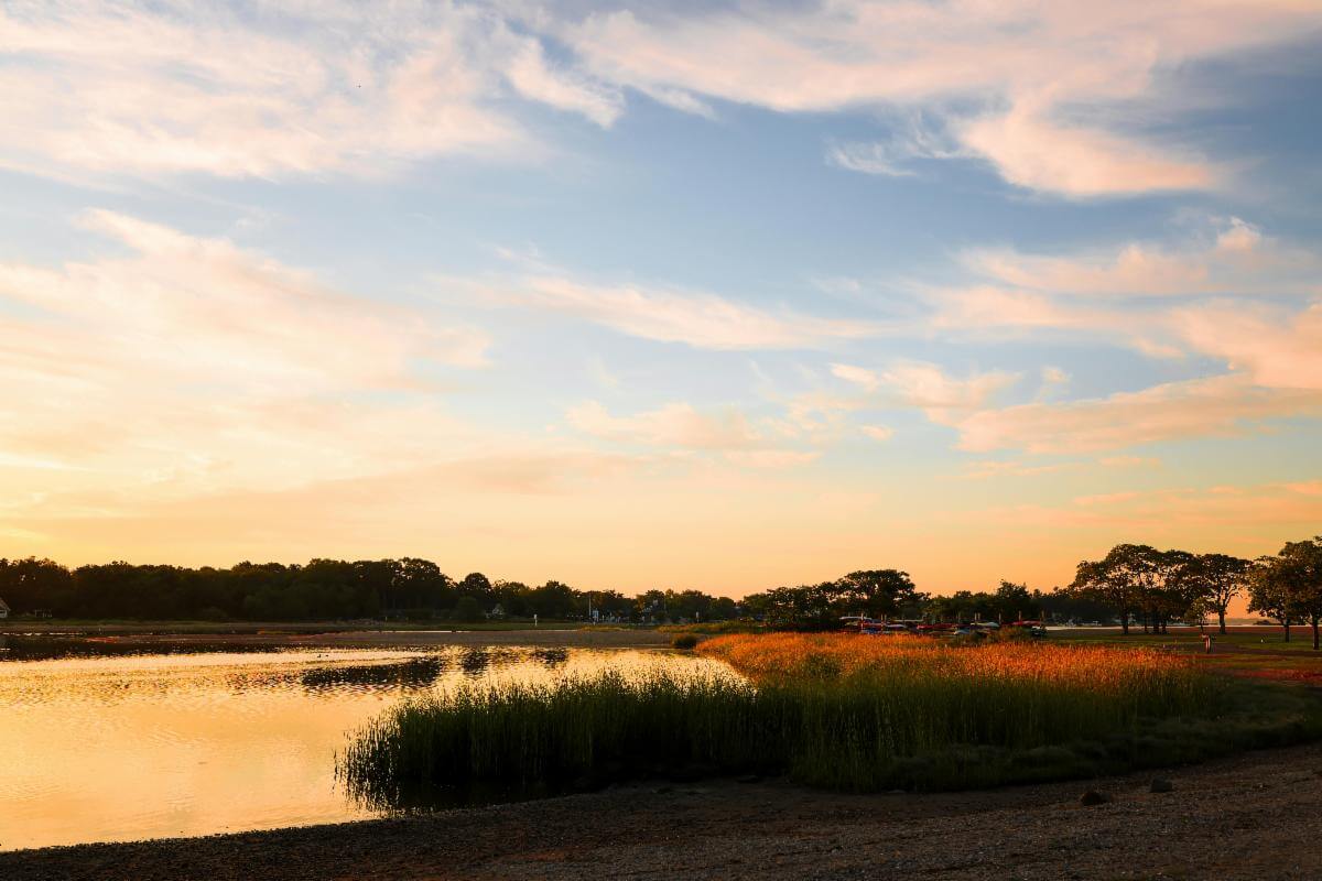 Photo by David Kanigan, Pexels