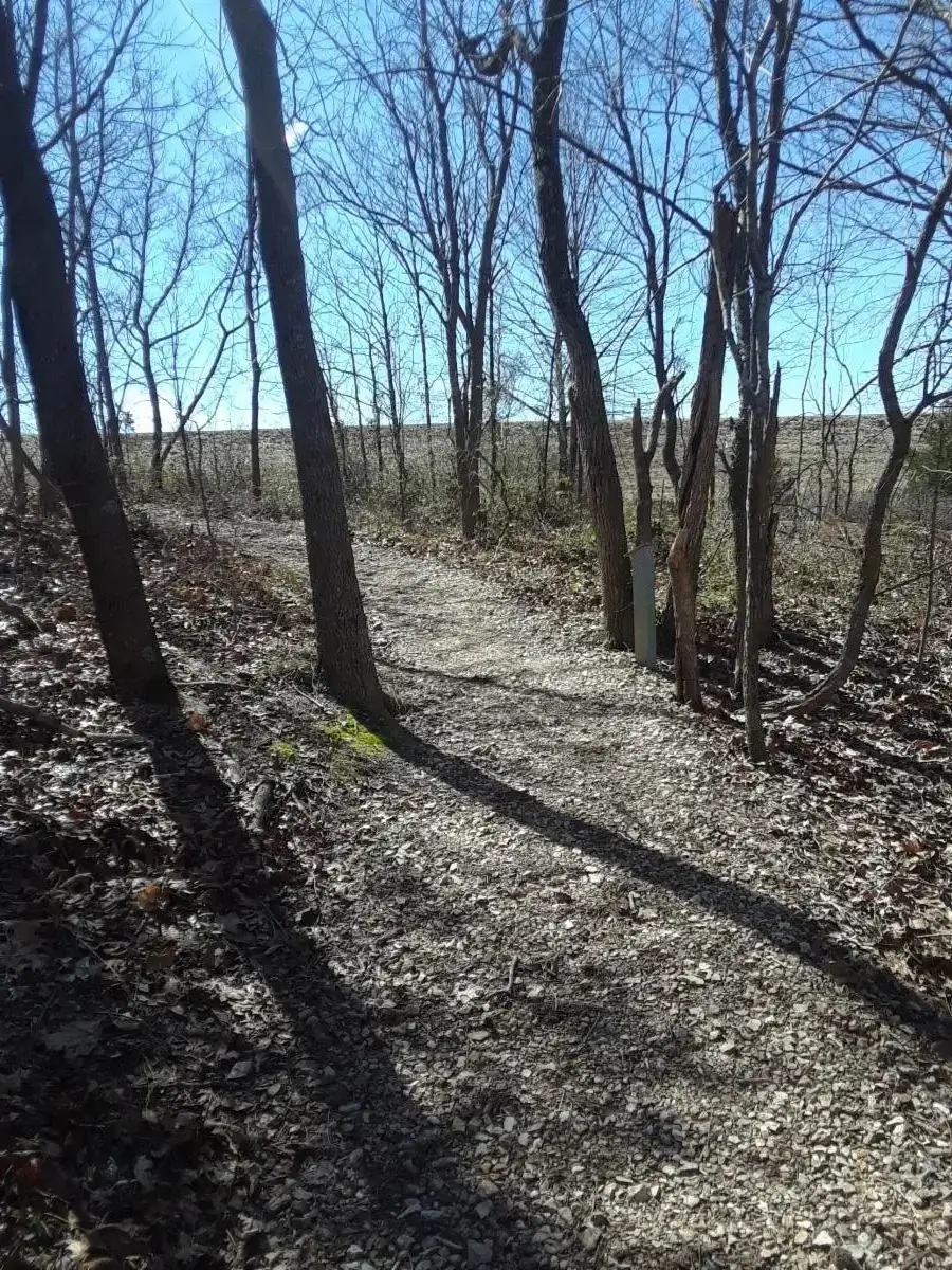 Path To Practice path To Practice - image